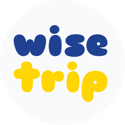 wise logo